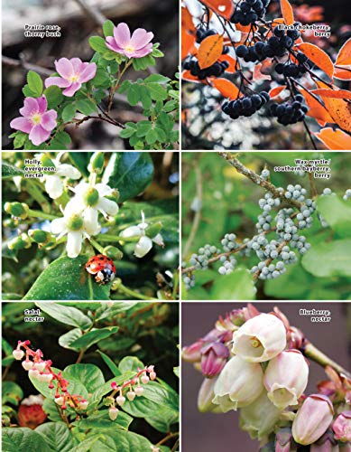 National Wildlife Federation(R): Attracting Birds, Butterflies, and Other Backyard Wildlife, Expanded Second Edition (Creative Homeowner) 17 Projects & Step-by-Step Instructions to Give Back to Nature - Image 9