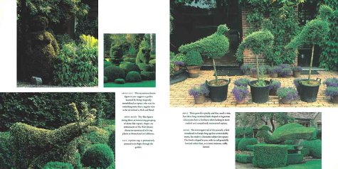 Topiary and the Art of Training Plants
