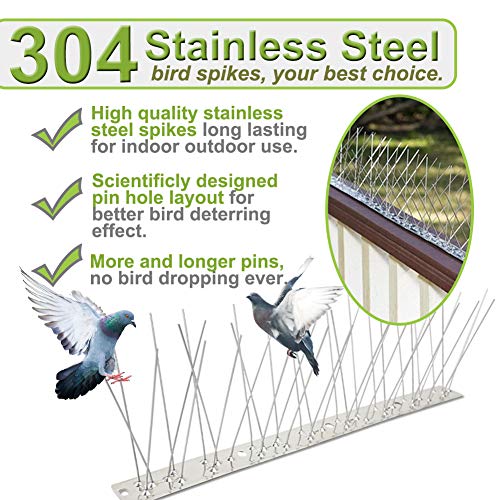 Bird Spikes Stainless Steel 60Ft Coverage For Pigeons Small Birds Outdoor Use Bird Deterrent Strips Devices For Fence Crows Woodpeckers With 304 Stainless Steel Pins And Base Not Rusty #TOP2