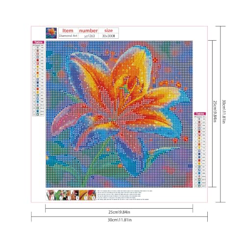Cuadros de pintura de diamante 30x30 cm con diseños de flores y mosaicos de lirios 2