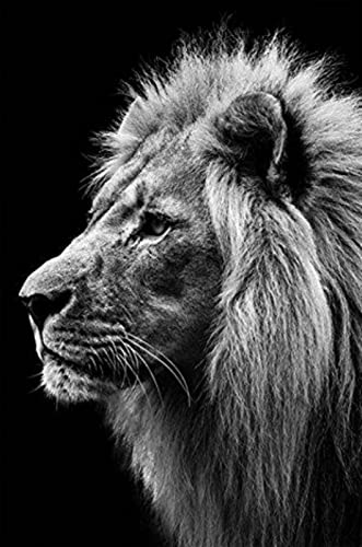 Broderie diamant lion 5D kit complet mosaïque strass 30x40 cm