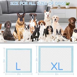Nobleza puppy pads extra large 28×34 super absorbent pee pads for dogs leak proof 5 layer pet training pads with quick dry surface for potty training 40 count   cucciolini doodles