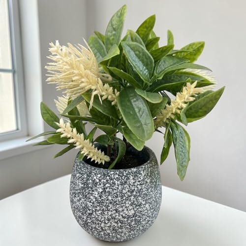Image of Garden Art Artificial Protea Flower Arrangement Placed in a Small Decorative doted Pot. The Spiky, Cone-Shaped Bloom and Textured Petals are Typical of Protea Flowers (P-0235White)
