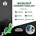 Big Discoveries WildLight Animal Carabiner Flashlight - Fun Mini Keychain Flash Lights for Kids, Nurses, Camping (Green Turtle)