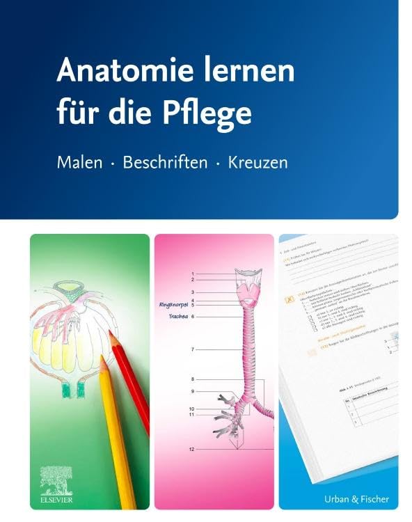Anatomie lernen für die Pflege: Malen - Beschriften - Kreuzen (PFLEGE - Lehrbuch - Urban & Fischer Verlag)