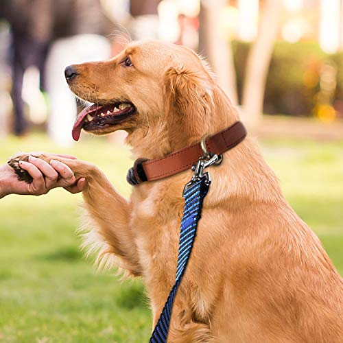 Image of Hi Kiss Dog /Puppy Obedience Recall Training Agility Lead - 15ft 20ft 30ft 50ft 100ft Training Leash - Great for Training, Play, Camping, or Backyard(50ft,Black Blue)
