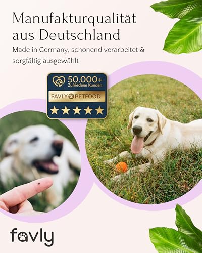 FAVLY – ZecOFF Zeckenschutz 50ml für Hunde ab 2kg – Spot-On gegen Zecken, Flöhe & Mücken – pflanzlich basiertes Zeckenmittel mit Saltidin, Neemöl, Eukalyptus, Geraniol – Zeckenabwehr ohne Nervengift