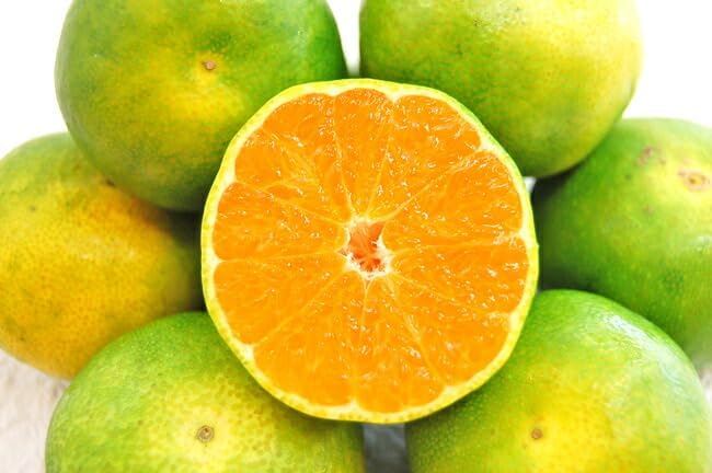 三ケ日 グリーンハウス みかん 秀品 Sサイズ22個入 or Mサイズ16個入 化粧箱入 静岡県浜松産 JAみっかび