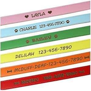 Best Presents Dog Lovers Gift 57 51AWk89sVuL. AC US299