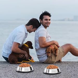 10 pcs stainless steel dog bowl pet feeding bowl with rubber base non slip pet dishes metal dog bowls pet food and water bowls for small medium animals kitten rabbit 7 oz   cucciolini doodles