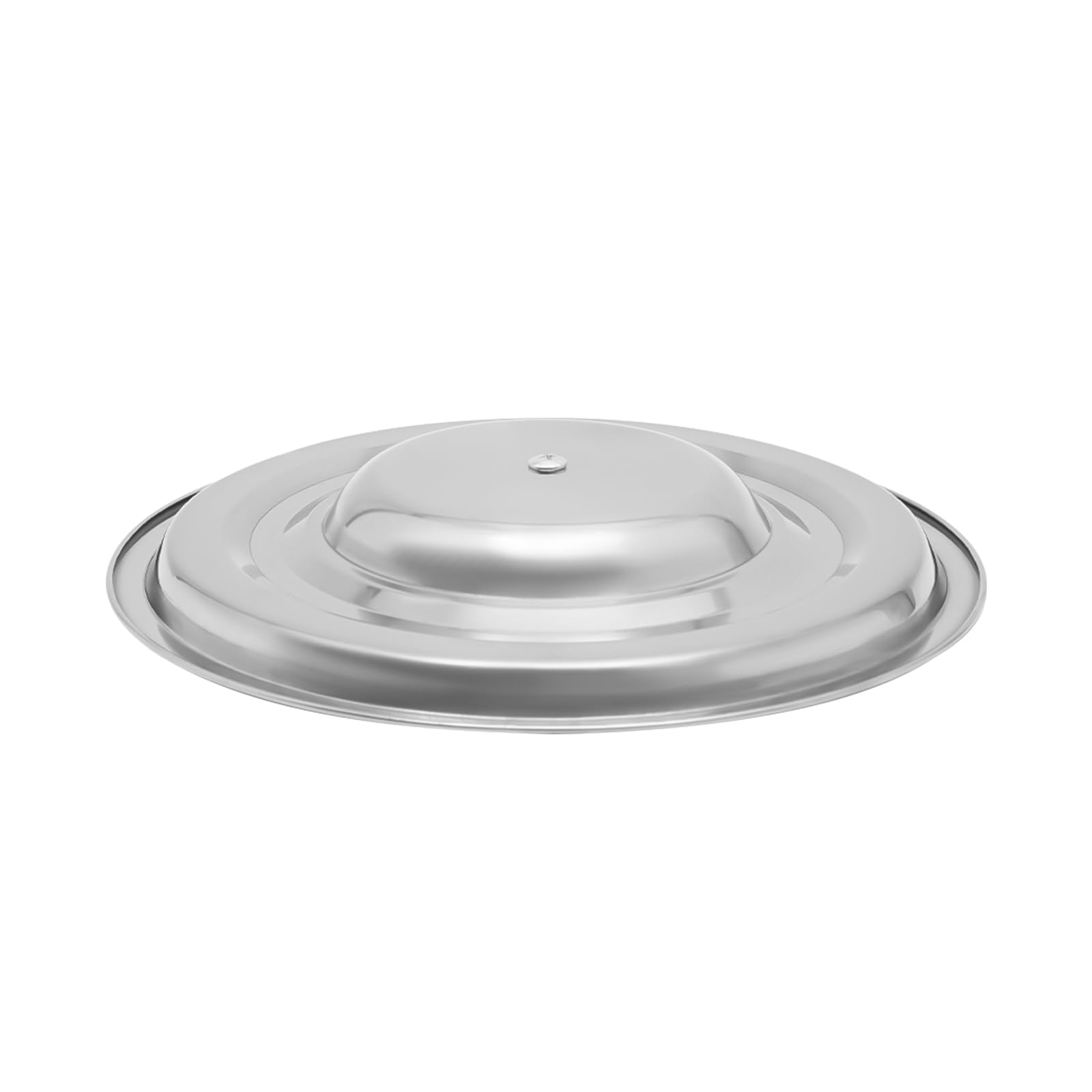 Cubo de acero inoxidable con tapa, cubo de cocina, cubo de comida con asa, cubo de cocina redondo, cubo para alimentos, productos químicos y detergentes, adecuado (6L)