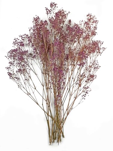 Mordederas Y Chupones, Toy Imagen adicional