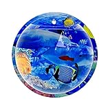 wandaquarium kaufen Hängende Aquarien können auch verwendet werden, um Blumen oder andere Wasserpflanzen anzupflanzen, um das Zuhause zu verschönern.