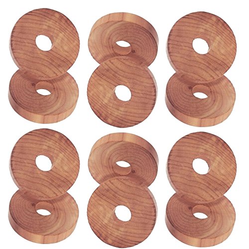 H & L Russel 2 x Set of 6 Cedar Rings, Wood, Beige, 20x10x10 cm