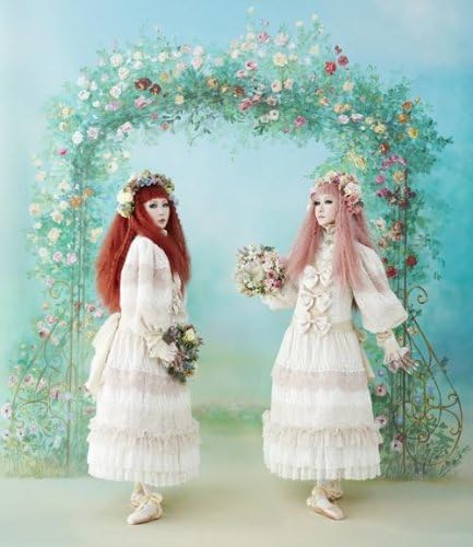 Amazon 令嬢薔薇図鑑 Ali Project アニメ ミュージック