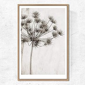SIGNWIN Framed Canvas Wall Art Dried Plants Canvas...