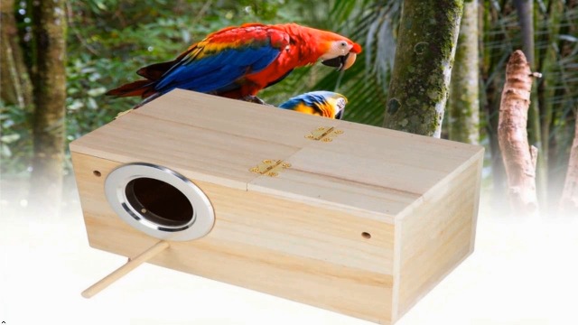 Amazon.com : Parakeet Nesting Box, Bird Nest Breeding Box Cage