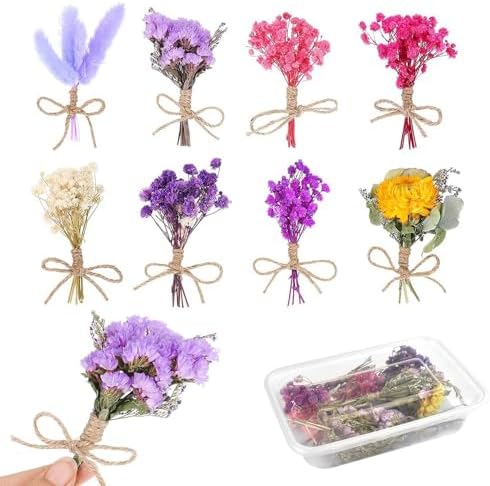 Halinuia Bouquet De Fleurs Séchées Naturelles Vraies Fleurs Pressées