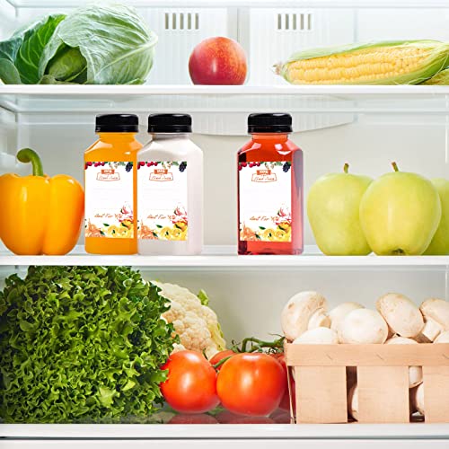 10 Stück 250 ml Leere Flaschen Kunststoff, Wiederverwendbare kleine Flaschen zum Befüllen Trinkflaschen für Smoothie Saft Tee, Klare Trinken Bottle für Mini-Kühlschrank, Juicer Shots, Wasser, Milch