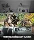 PetTec® Cam 360° Haustierkamera Hundekamera mit App [OHNE ABO-FALLE] - Katzen & Hunde Kamera Zuhause mit Bewegungserkennung & Nachtsichtfunktion - Full HD Rundumblick 360° Schwenken & Neigen - Pet Cam