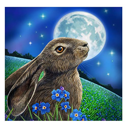 Pulsa para comprar en Amazon