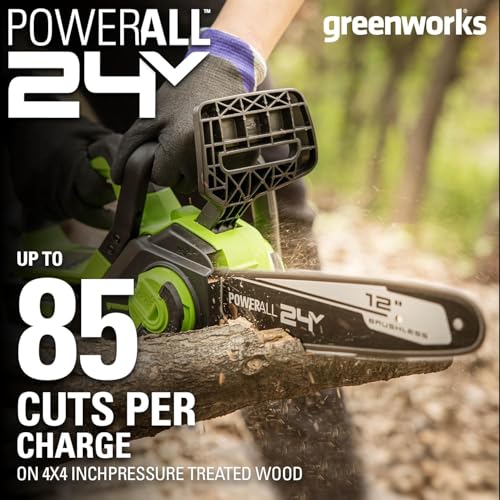 Greenworks 24V 12