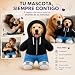 Imagen de Made in Gift