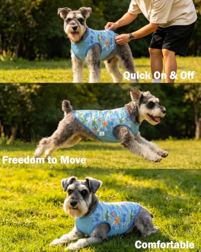 Image of CuteBone Mesh Panel Dog Tank Top - Breathable Dual-Fabric Pet Vest Lightweight Summer Small Dog Shirts - Keep Your Pets Cool, Sun-Protected Outdoors