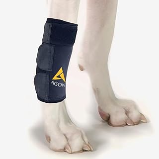 Agon® Dog Canine Front Leg Brace Paw Compression Wraps with Protects Wounds Brace Heals