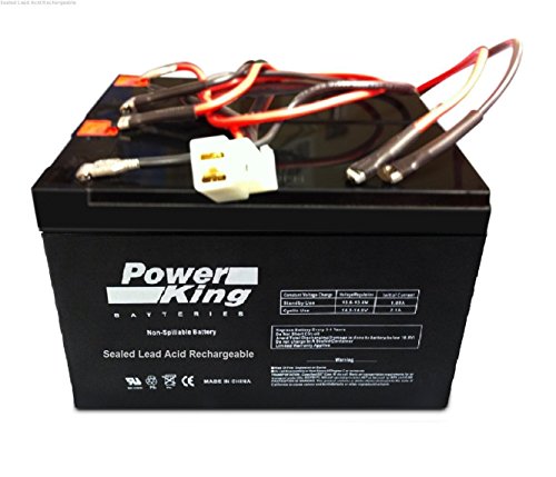 Razor E200/E300 Electric Scooter Battery (V13, V11) 8Ah