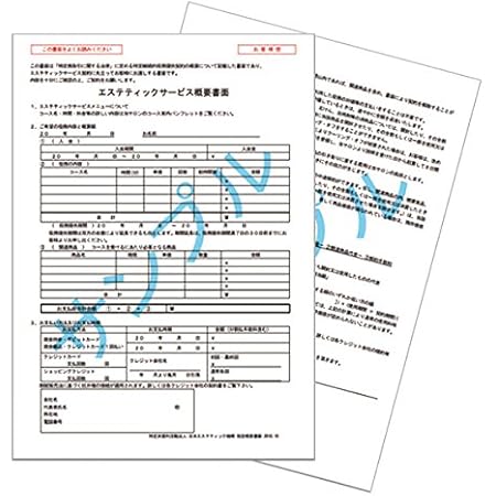 Amazon Co Jp Jeo エステティックサービス概要書面 50組 エステ 契約書 説明書 同意書 契約 説明 同意 50 用紙 シート 文房具 オフィス用品