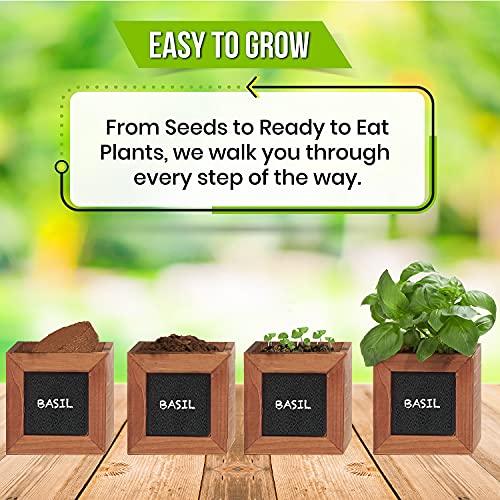 Indoor Herb Garden Kit with Wooden Herb Planters, Basil, Parsley & Cilantro Organic Herb Seeds. A Complete Gardening Kit with Everything to Grow Herb Plants. Great Gardening Gifts for Women & Men - Thumbnail 6