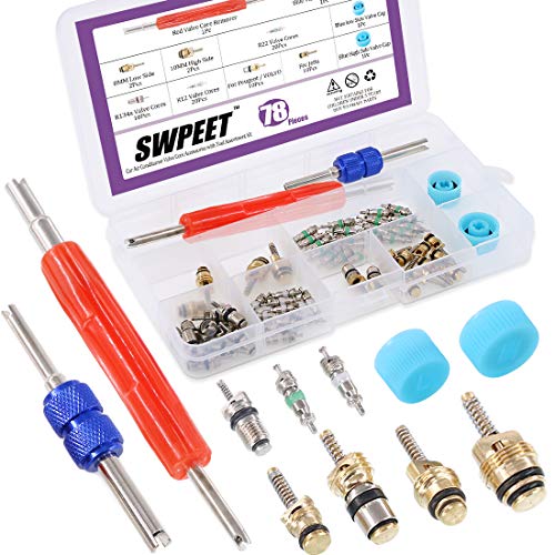 Swpeet 78Pcs R12 R134A Valve Cores Repair Kit, Including Assortment R12 R134A Air Conditioning Valve Core Refrigeration Tire Valve Stem Cores Valve Cap With Remover Tool For Most Cars #TOP22