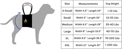Miniatura 4 de Arnés canino para perro con soporte para patas traseras, cadera y rodillera, arnés para ayudar a levantar la ayuda trasera de los perros y el viejo