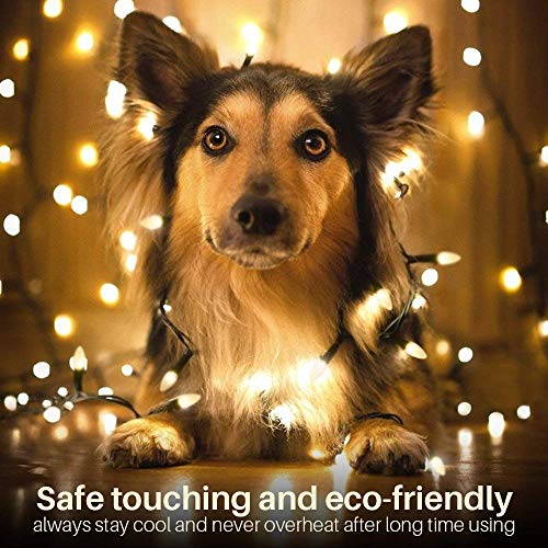 Asenek Battery Operated String Lights - 18Ft 50 Led C3 String Lights Christmas Lights Battery Powered String Lights For Indoor Outdoor Christmas Tree Wreath Party Decoration, Waterproof, Warm White #TOP6