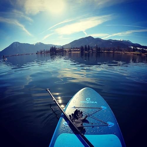 Wowsea Bionics B2 - 9