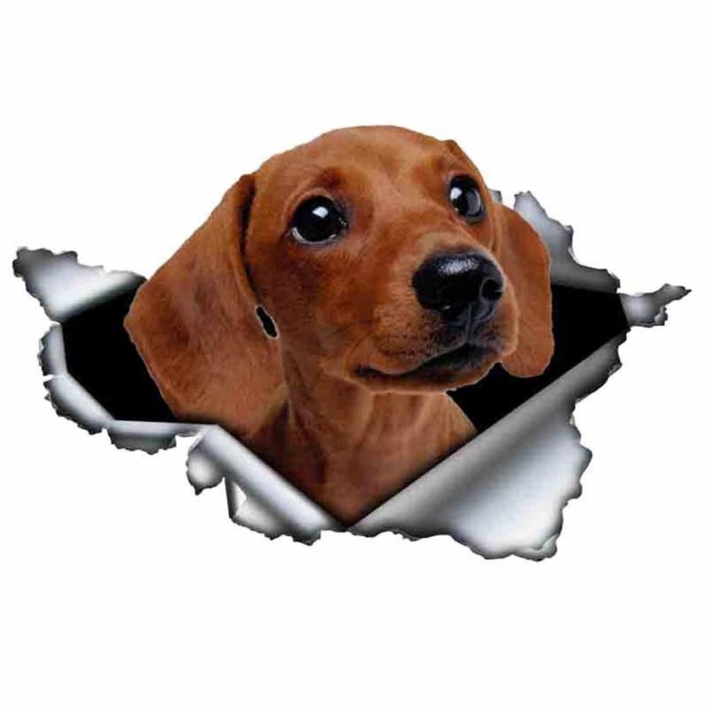 Miniature Pinscher Aufkleber, 3D Zerrissener Effekt Aufklebe