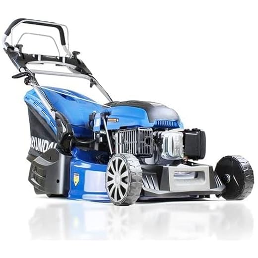 21" 196cc Electric-Start Roller Mower