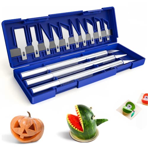 15Pcs Precision Craft Hobby Knife Kits, Utility Art Knife Sets, Sharp Razor Knives Tool For Carving, Architecture Modeling, Scrapbooking, Felt&Wood&Leather Working-Stencil, Diy Art Work Cutting #TOP2