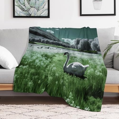 Couverture flannel moelleuse et chaude lavable grand format 180x200cm