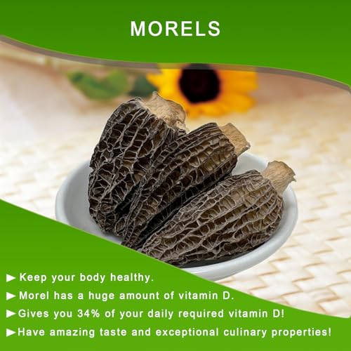 DABC OAK LAND Cordyceps Flower, Wild Morel Mushrooms 100% Natural, Premium Wild Harvested, Rich Umami Morchella Conica for Gourmet Cooking, Soups, Pasta,Nutrient, 4OZ Cordyceps Flower + 4OZ Dried Wild Morel Mushrooms Gift Box Set