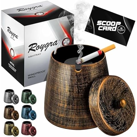 roygra Windproof Metal Ashtray with Lid Cover