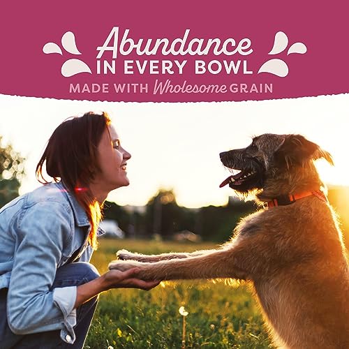 Natural Balance 2363301435 Original Ultra Fat Dogs Chicken Meal, Salmon Meal & Barley Recipe Adult Dry Dog Food thumb #8