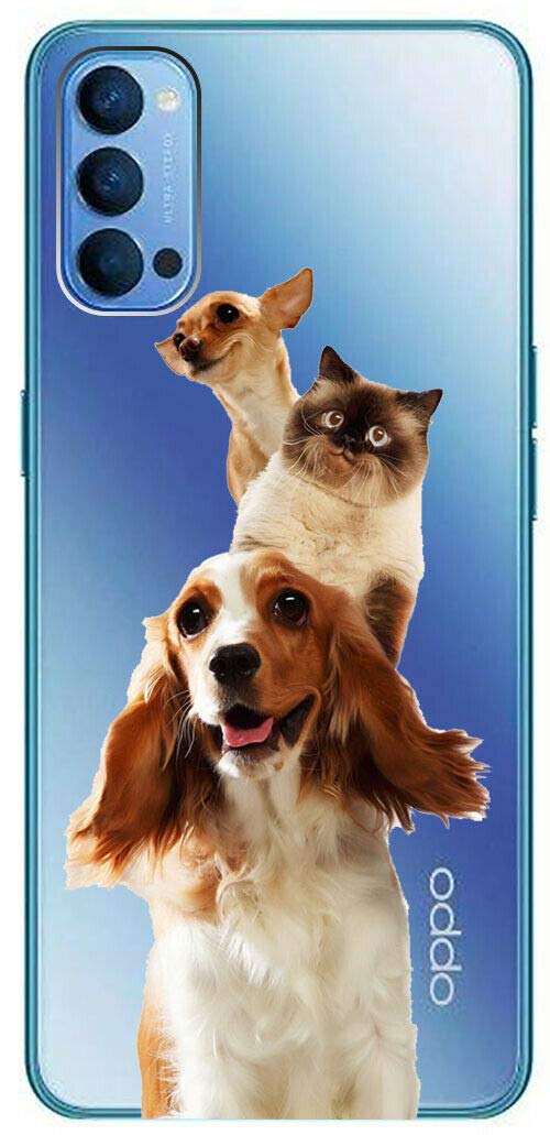 Mixroom Cover Per Xiaomi Redmi 9T 4G - Custodia Morbida In TPU Trasparente Con Stampa Cane E Gatto (T656) - 3
