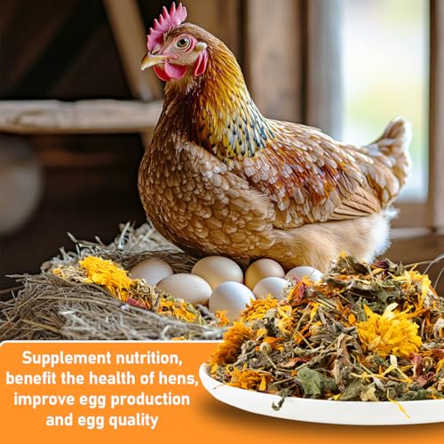 MAQIHAN 10oz Chicken Nesting Herbs - Dried Herb Layer Feed Coop and Run Insulation Roosting Bars for Box Pads Supplies Laying Hens Chicks Vacuum Packed Bedding Winter