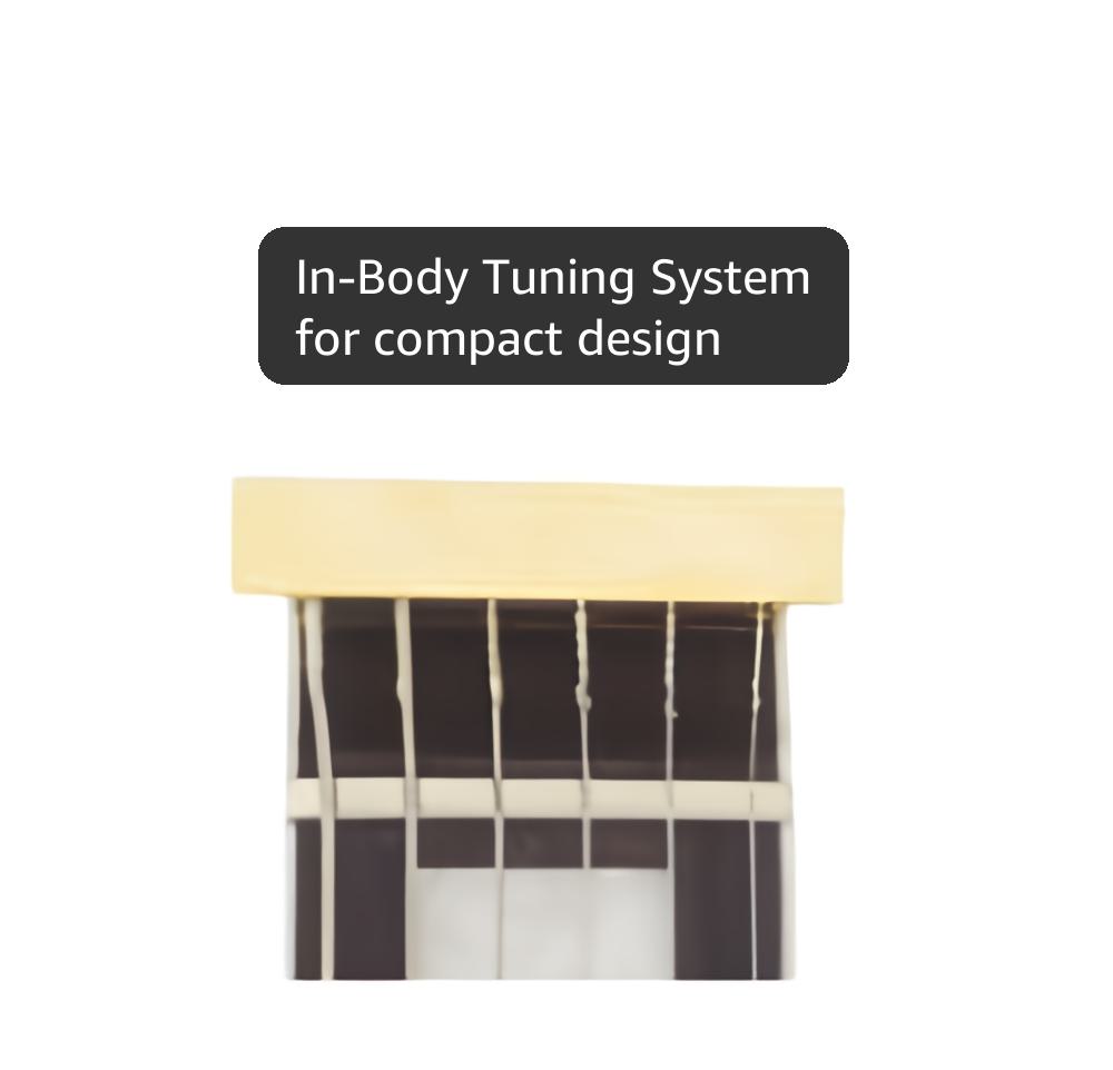 Traveler Guitar Electric Guitar 6 String EG-1 Custom (Gloss Black), Right, (EG1C BKG)