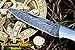 DKC Knives DKC-58-LJ-OW LITTLE JAY Damascus Folding Pocket Knife Olive Wood Handle 4