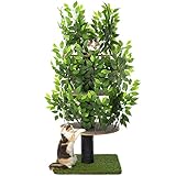 kratzbaum natural paradise mini HAUSTIERSICHERE KONSTRUKTION: Hergestellt aus hochwertigen, ungiftigen Materialien, können Sie sicher sein, dass Ihre Katze in guten Händen ist. Er ist robust und widerstandsfähig und hält Kratzern, Beißen und aggressivem Spiel stand