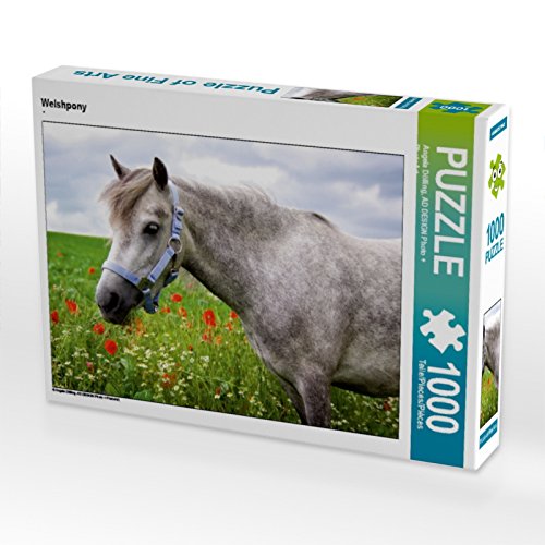 Puzzle Welshpony 1000 pièces l'idée cadeau parfaite amants chevaux