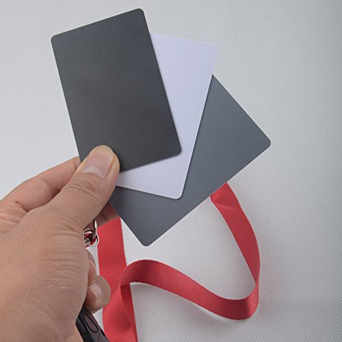 Andoer 3 In 1 Pocket-Size Digital White Black Grey Balance Cards 18% Gray Card With Neck Strap For Digital Photography #TOP3